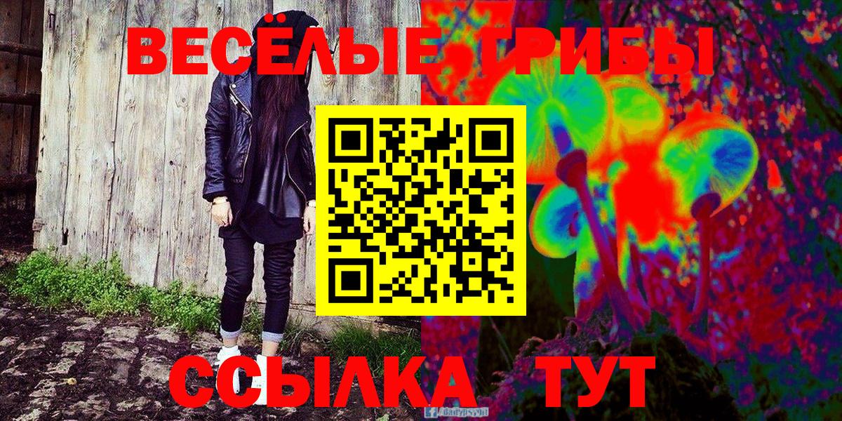 Ступино  Галлюциногенные грибы мухоморы  Вход с VPN 